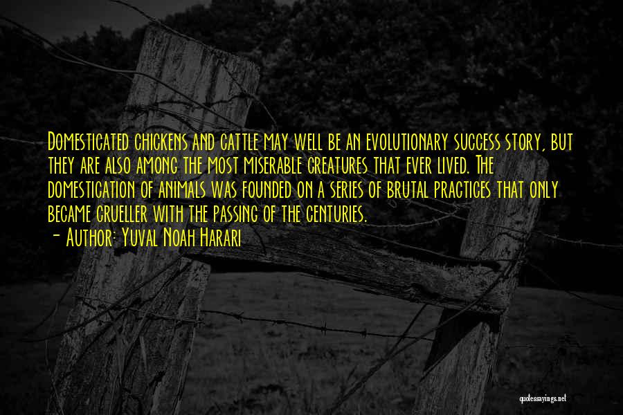 Yuval Noah Harari Quotes: Domesticated Chickens And Cattle May Well Be An Evolutionary Success Story, But They Are Also Among The Most Miserable Creatures