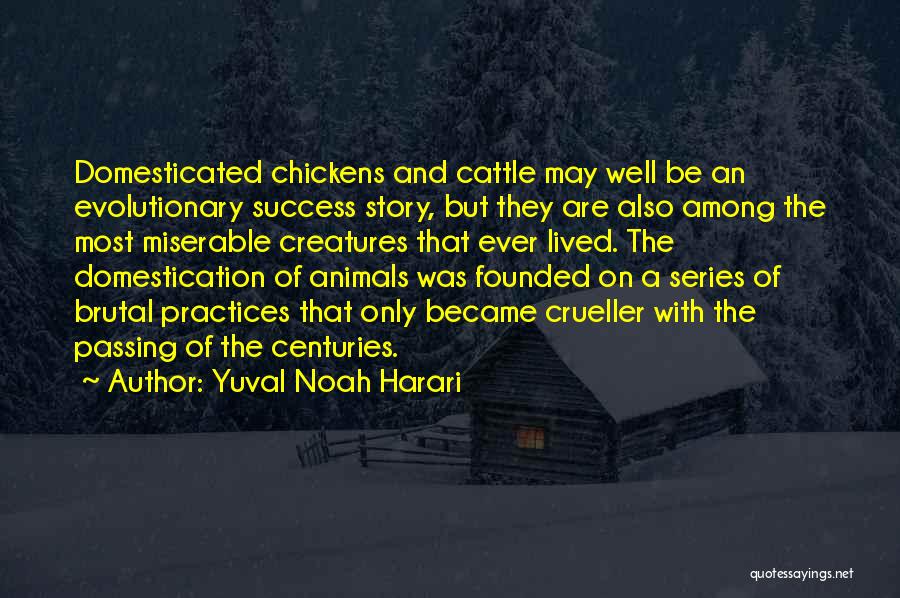 Yuval Noah Harari Quotes: Domesticated Chickens And Cattle May Well Be An Evolutionary Success Story, But They Are Also Among The Most Miserable Creatures