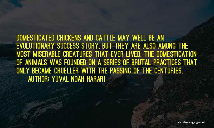 Yuval Noah Harari Quotes: Domesticated Chickens And Cattle May Well Be An Evolutionary Success Story, But They Are Also Among The Most Miserable Creatures