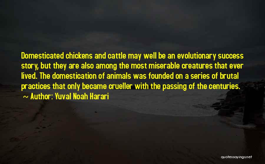 Yuval Noah Harari Quotes: Domesticated Chickens And Cattle May Well Be An Evolutionary Success Story, But They Are Also Among The Most Miserable Creatures