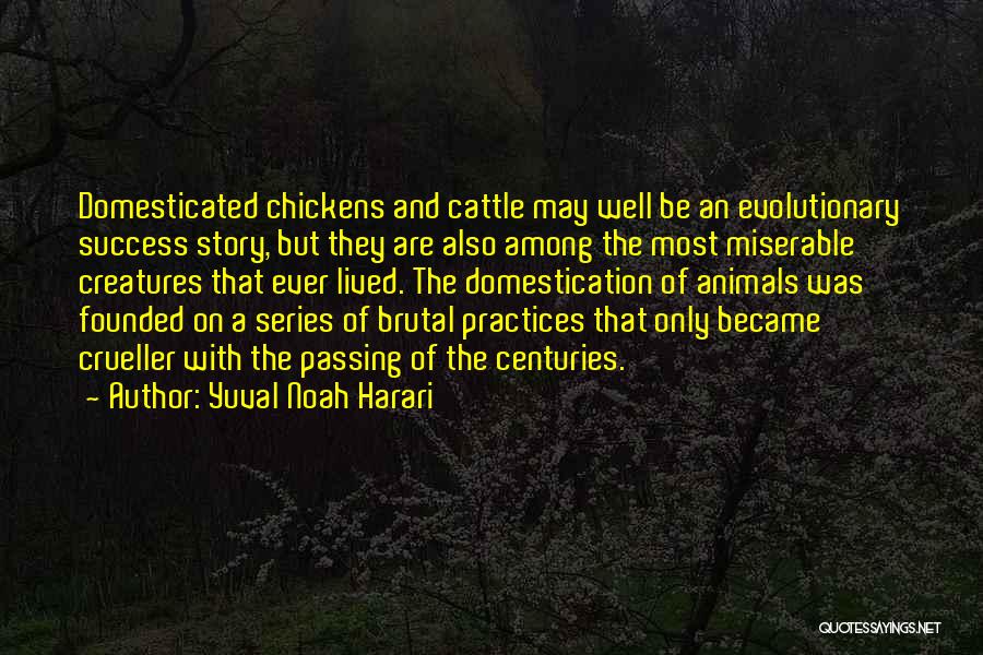 Yuval Noah Harari Quotes: Domesticated Chickens And Cattle May Well Be An Evolutionary Success Story, But They Are Also Among The Most Miserable Creatures