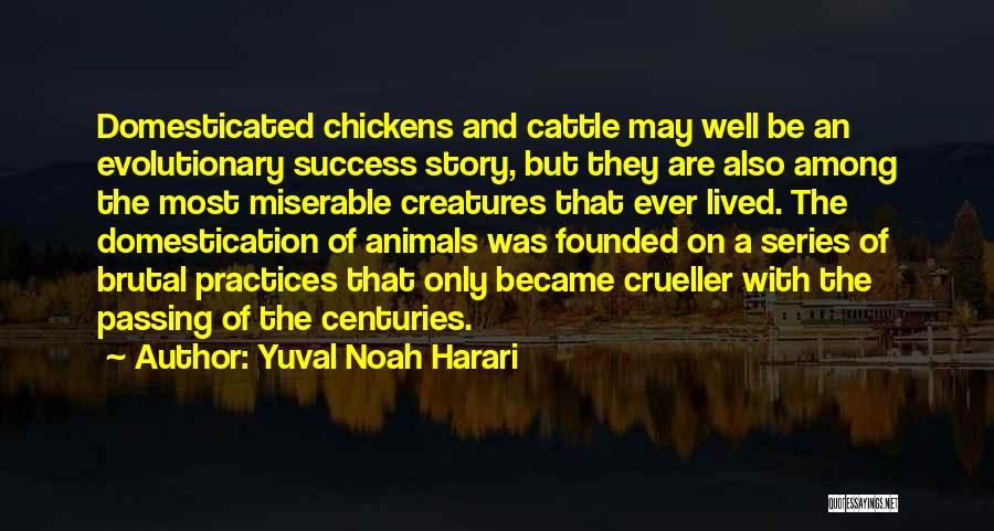 Yuval Noah Harari Quotes: Domesticated Chickens And Cattle May Well Be An Evolutionary Success Story, But They Are Also Among The Most Miserable Creatures