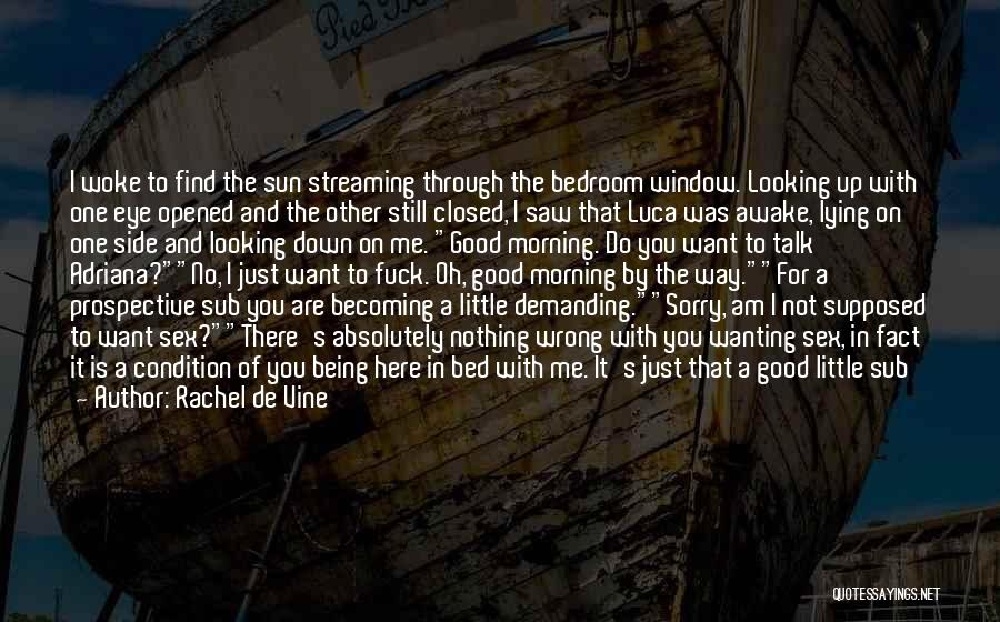 Rachel De Vine Quotes: I Woke To Find The Sun Streaming Through The Bedroom Window. Looking Up With One Eye Opened And The Other