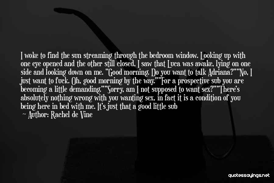 Rachel De Vine Quotes: I Woke To Find The Sun Streaming Through The Bedroom Window. Looking Up With One Eye Opened And The Other