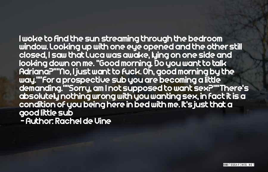 Rachel De Vine Quotes: I Woke To Find The Sun Streaming Through The Bedroom Window. Looking Up With One Eye Opened And The Other