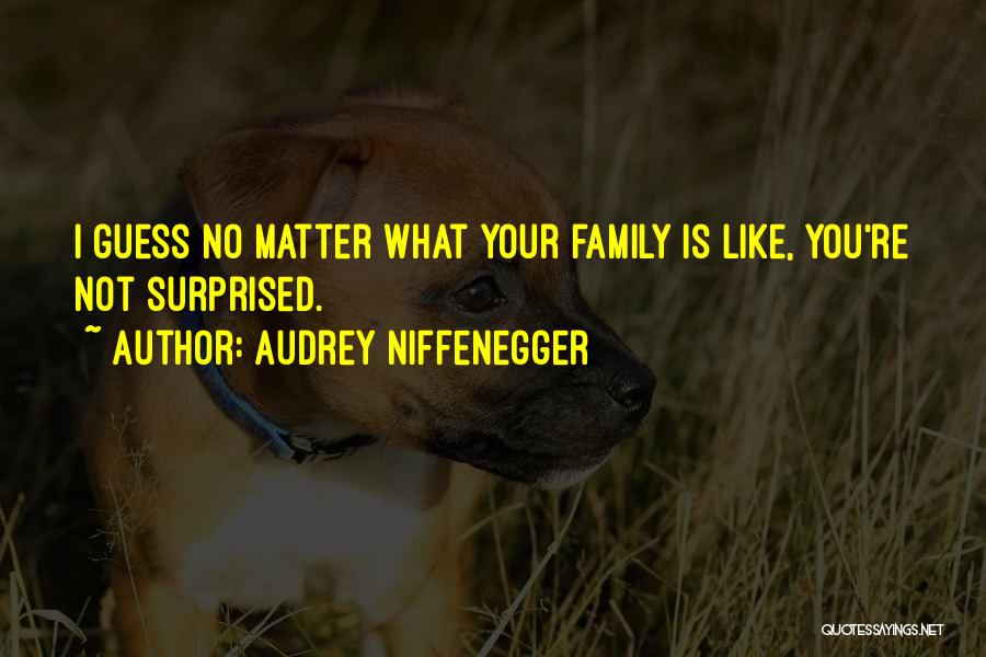 Audrey Niffenegger Quotes: I Guess No Matter What Your Family Is Like, You're Not Surprised.