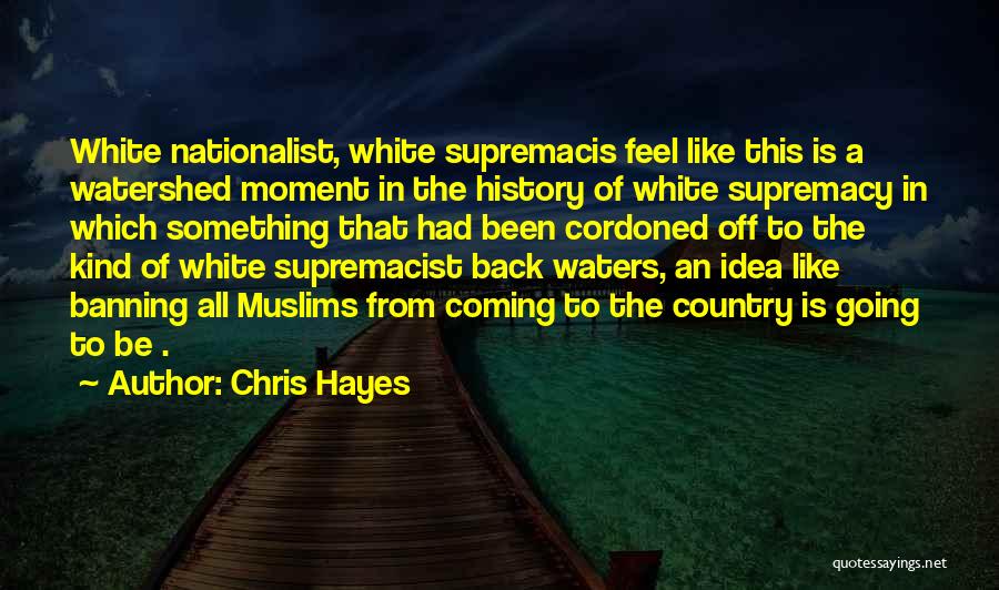 Chris Hayes Quotes: White Nationalist, White Supremacis Feel Like This Is A Watershed Moment In The History Of White Supremacy In Which Something