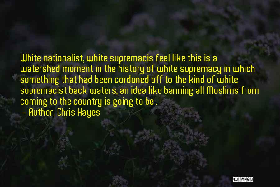Chris Hayes Quotes: White Nationalist, White Supremacis Feel Like This Is A Watershed Moment In The History Of White Supremacy In Which Something