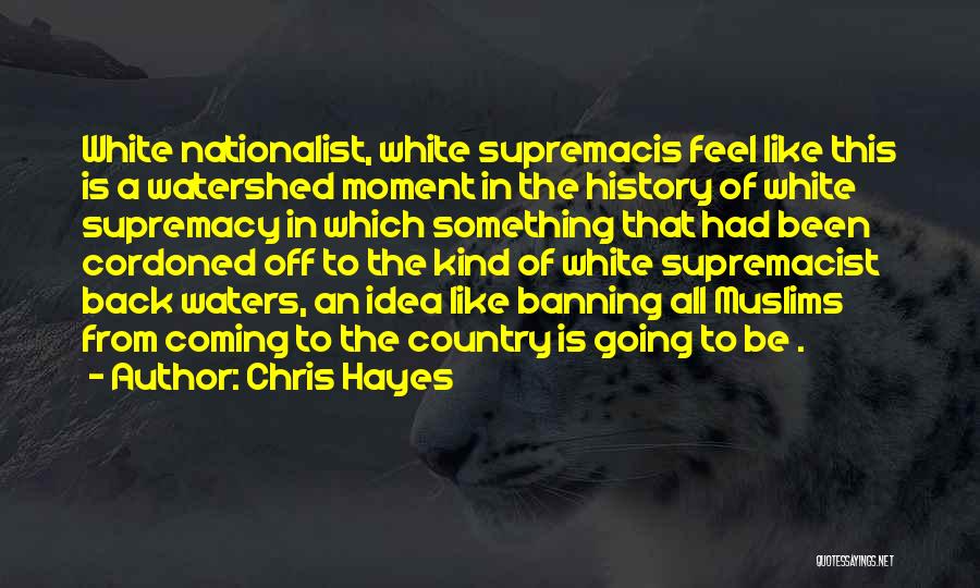 Chris Hayes Quotes: White Nationalist, White Supremacis Feel Like This Is A Watershed Moment In The History Of White Supremacy In Which Something