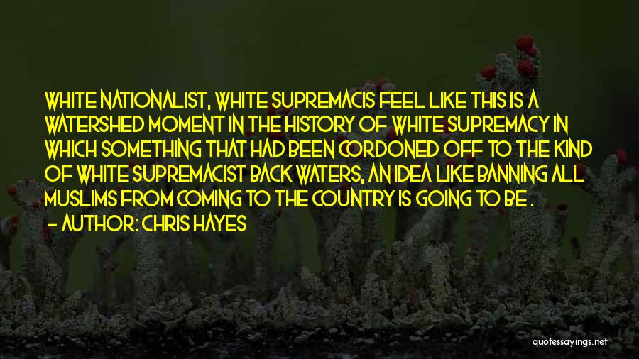 Chris Hayes Quotes: White Nationalist, White Supremacis Feel Like This Is A Watershed Moment In The History Of White Supremacy In Which Something