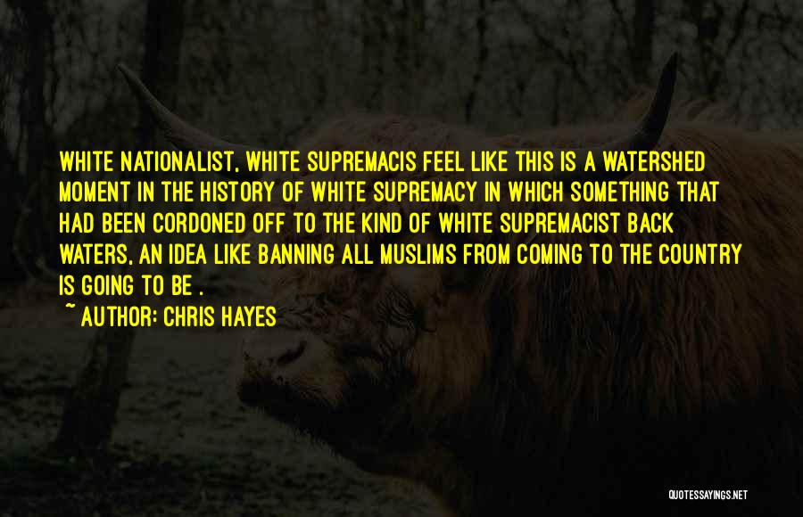 Chris Hayes Quotes: White Nationalist, White Supremacis Feel Like This Is A Watershed Moment In The History Of White Supremacy In Which Something