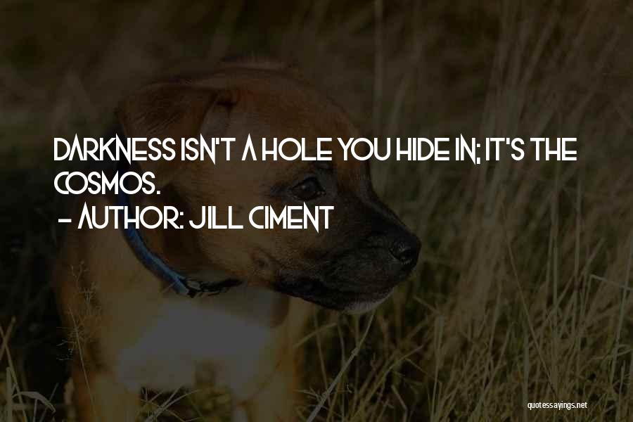 Jill Ciment Quotes: Darkness Isn't A Hole You Hide In; It's The Cosmos.
