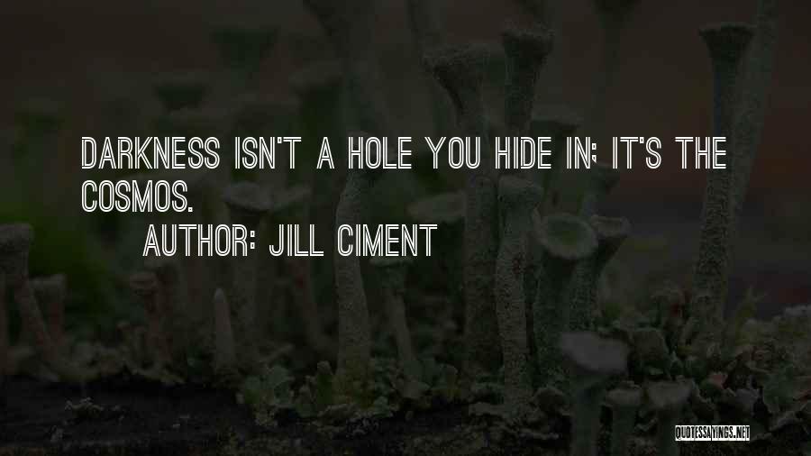 Jill Ciment Quotes: Darkness Isn't A Hole You Hide In; It's The Cosmos.