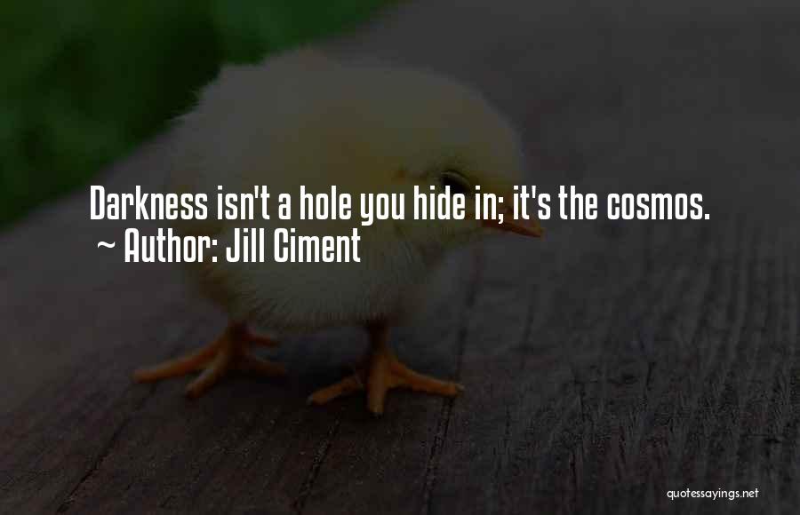 Jill Ciment Quotes: Darkness Isn't A Hole You Hide In; It's The Cosmos.