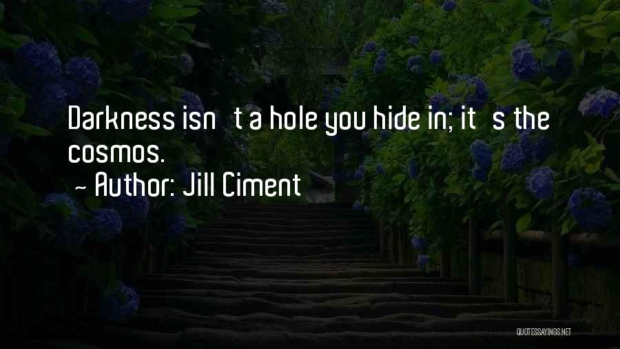 Jill Ciment Quotes: Darkness Isn't A Hole You Hide In; It's The Cosmos.