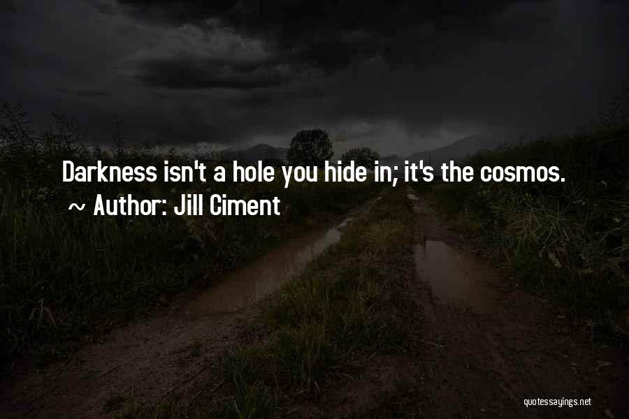 Jill Ciment Quotes: Darkness Isn't A Hole You Hide In; It's The Cosmos.