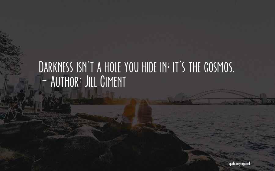 Jill Ciment Quotes: Darkness Isn't A Hole You Hide In; It's The Cosmos.