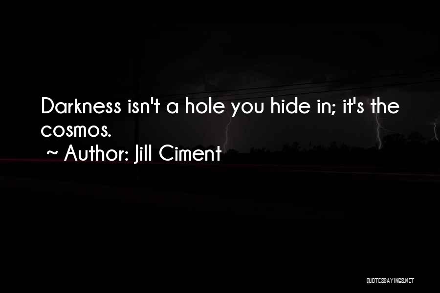 Jill Ciment Quotes: Darkness Isn't A Hole You Hide In; It's The Cosmos.