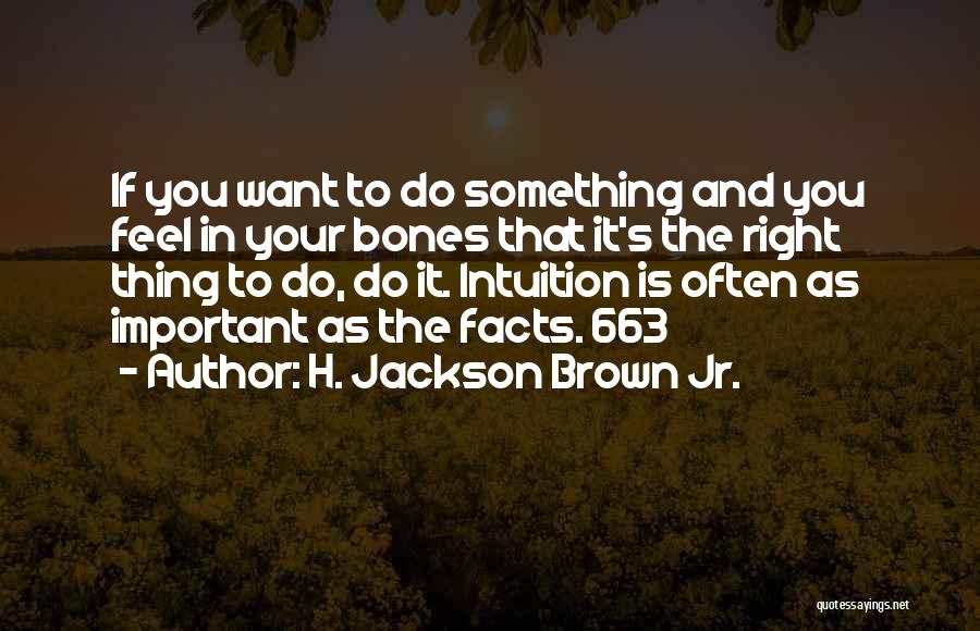 H. Jackson Brown Jr. Quotes: If You Want To Do Something And You Feel In Your Bones That It's The Right Thing To Do, Do