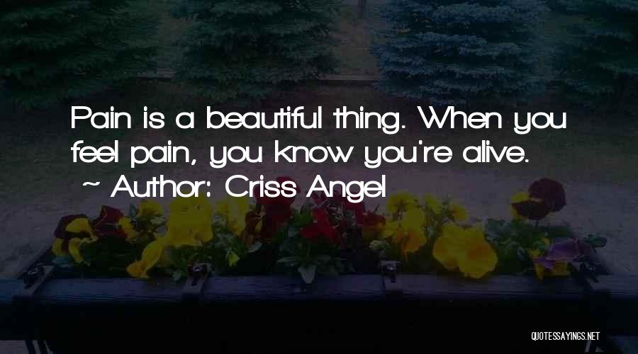 Criss Angel Quotes: Pain Is A Beautiful Thing. When You Feel Pain, You Know You're Alive.