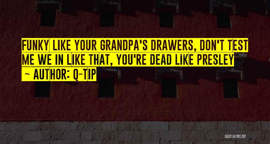 Q-Tip Quotes: Funky Like Your Grandpa's Drawers, Don't Test Me We In Like That, You're Dead Like Presley