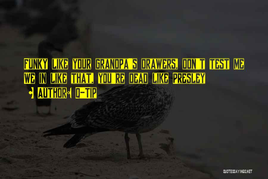 Q-Tip Quotes: Funky Like Your Grandpa's Drawers, Don't Test Me We In Like That, You're Dead Like Presley