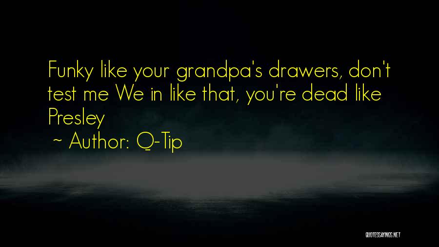 Q-Tip Quotes: Funky Like Your Grandpa's Drawers, Don't Test Me We In Like That, You're Dead Like Presley