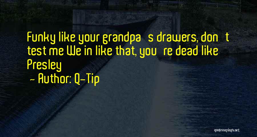 Q-Tip Quotes: Funky Like Your Grandpa's Drawers, Don't Test Me We In Like That, You're Dead Like Presley