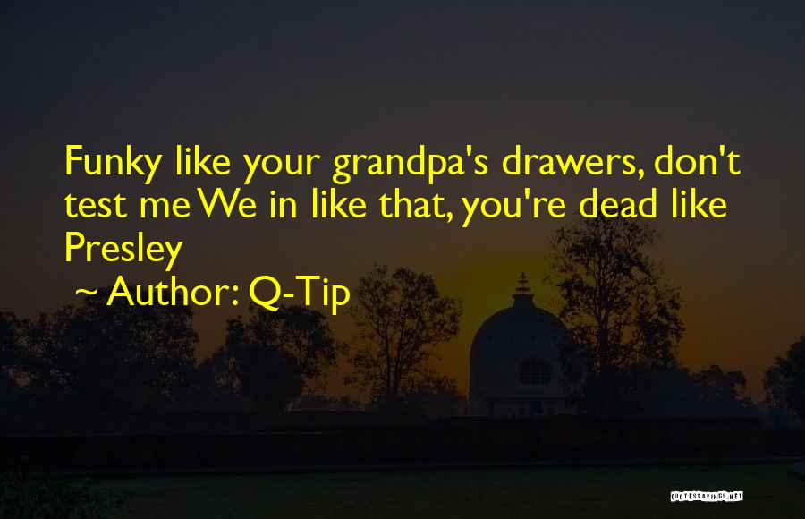 Q-Tip Quotes: Funky Like Your Grandpa's Drawers, Don't Test Me We In Like That, You're Dead Like Presley