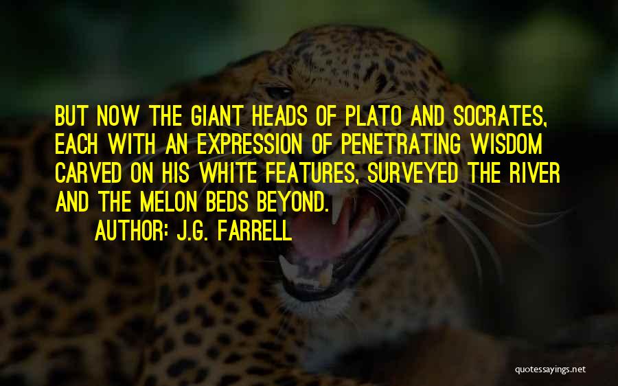 J.G. Farrell Quotes: But Now The Giant Heads Of Plato And Socrates, Each With An Expression Of Penetrating Wisdom Carved On His White