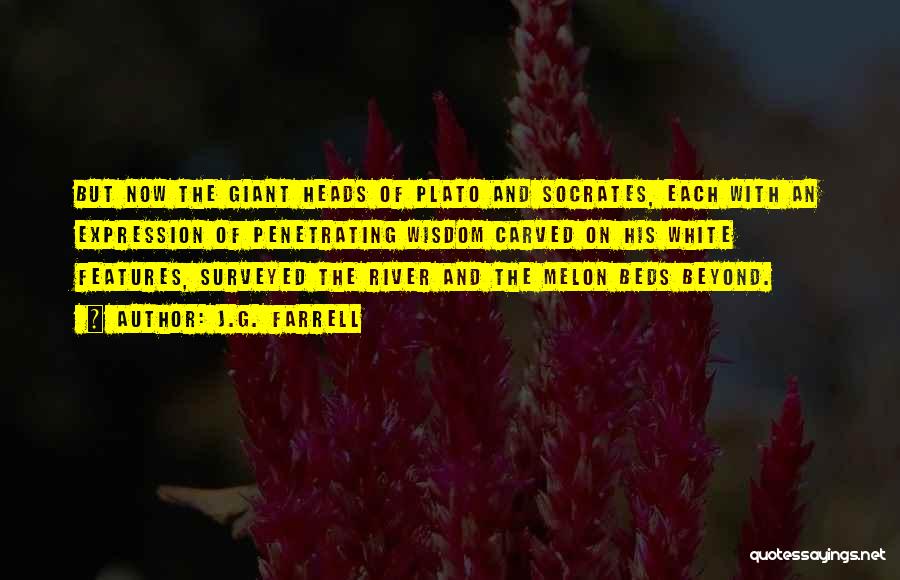 J.G. Farrell Quotes: But Now The Giant Heads Of Plato And Socrates, Each With An Expression Of Penetrating Wisdom Carved On His White