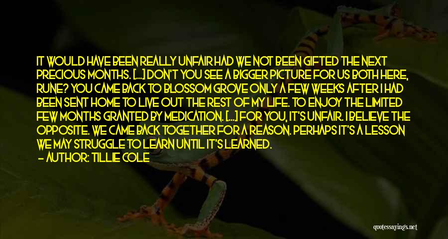 Tillie Cole Quotes: It Would Have Been Really Unfair Had We Not Been Gifted The Next Precious Months. [...] Don't You See A