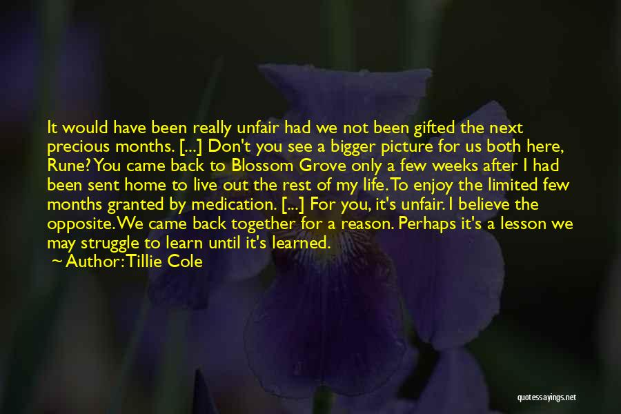 Tillie Cole Quotes: It Would Have Been Really Unfair Had We Not Been Gifted The Next Precious Months. [...] Don't You See A