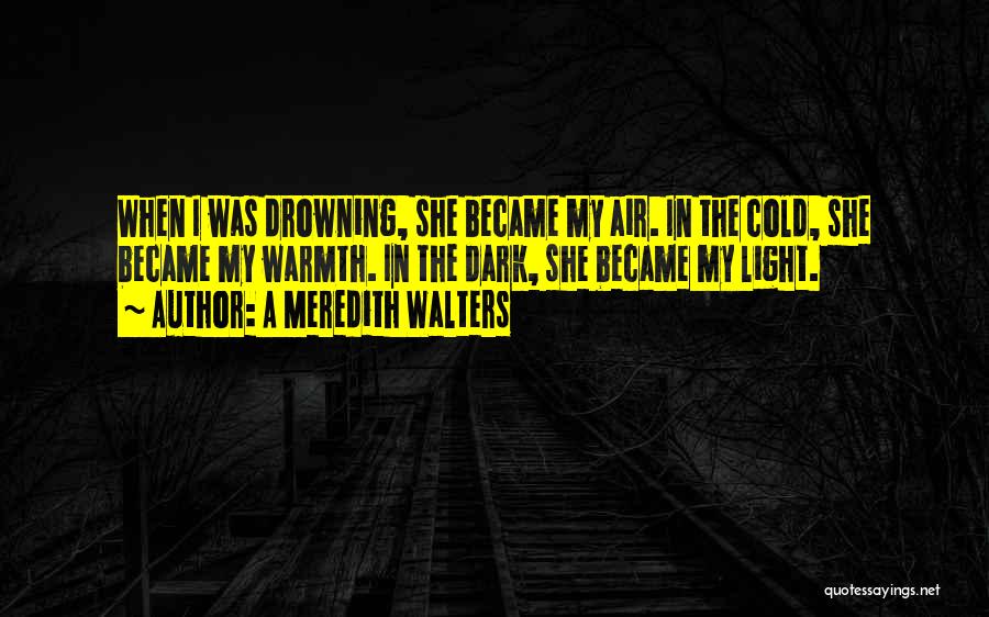 A Meredith Walters Quotes: When I Was Drowning, She Became My Air. In The Cold, She Became My Warmth. In The Dark, She Became