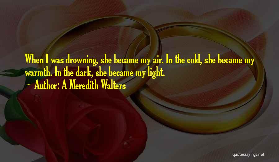 A Meredith Walters Quotes: When I Was Drowning, She Became My Air. In The Cold, She Became My Warmth. In The Dark, She Became