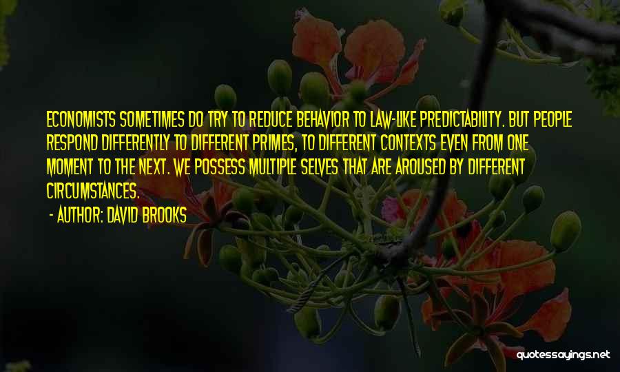 David Brooks Quotes: Economists Sometimes Do Try To Reduce Behavior To Law-like Predictability. But People Respond Differently To Different Primes, To Different Contexts