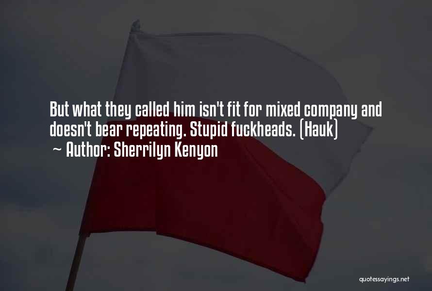 Sherrilyn Kenyon Quotes: But What They Called Him Isn't Fit For Mixed Company And Doesn't Bear Repeating. Stupid Fuckheads. (hauk)