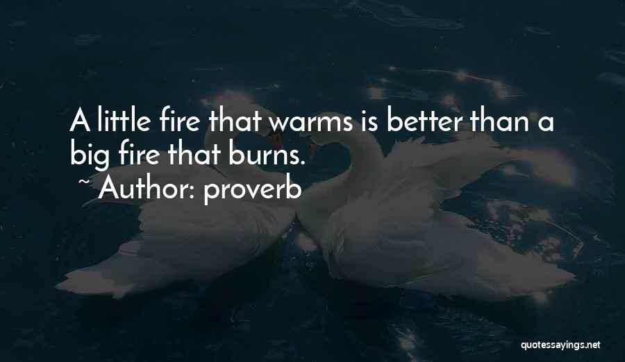 Proverb Quotes: A Little Fire That Warms Is Better Than A Big Fire That Burns.