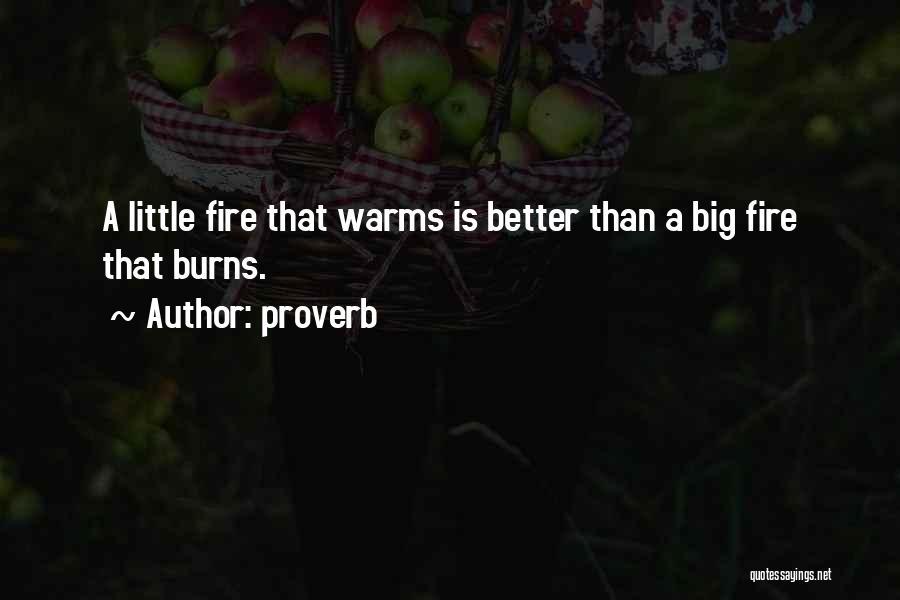 Proverb Quotes: A Little Fire That Warms Is Better Than A Big Fire That Burns.