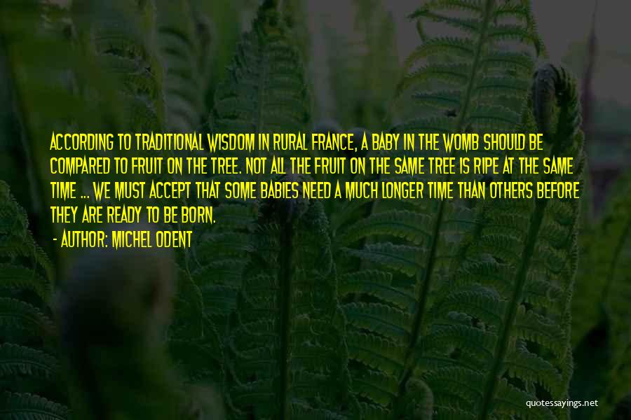 Michel Odent Quotes: According To Traditional Wisdom In Rural France, A Baby In The Womb Should Be Compared To Fruit On The Tree.