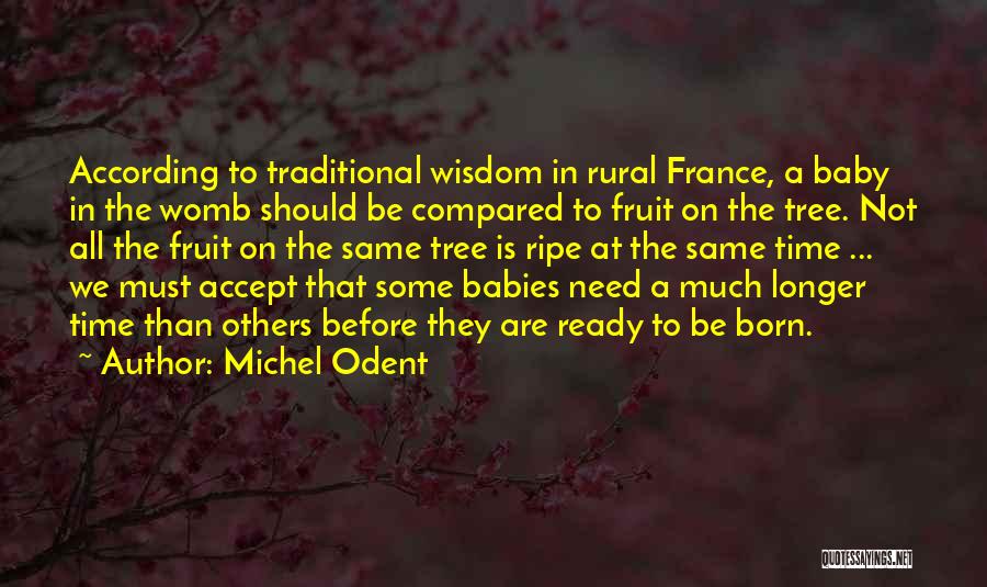 Michel Odent Quotes: According To Traditional Wisdom In Rural France, A Baby In The Womb Should Be Compared To Fruit On The Tree.