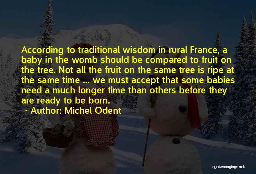 Michel Odent Quotes: According To Traditional Wisdom In Rural France, A Baby In The Womb Should Be Compared To Fruit On The Tree.