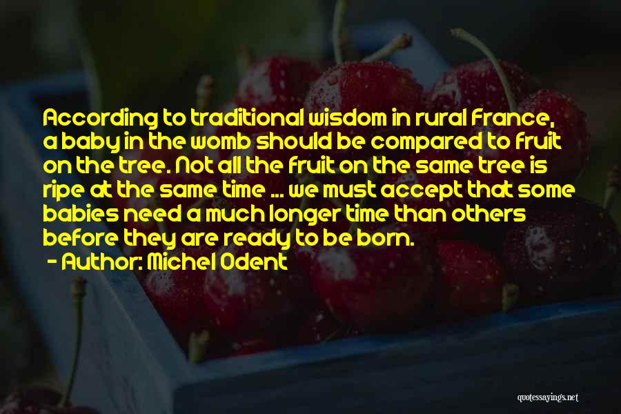 Michel Odent Quotes: According To Traditional Wisdom In Rural France, A Baby In The Womb Should Be Compared To Fruit On The Tree.