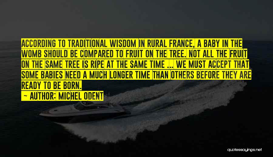 Michel Odent Quotes: According To Traditional Wisdom In Rural France, A Baby In The Womb Should Be Compared To Fruit On The Tree.