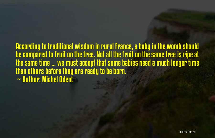 Michel Odent Quotes: According To Traditional Wisdom In Rural France, A Baby In The Womb Should Be Compared To Fruit On The Tree.