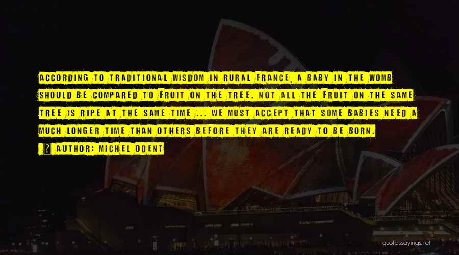 Michel Odent Quotes: According To Traditional Wisdom In Rural France, A Baby In The Womb Should Be Compared To Fruit On The Tree.