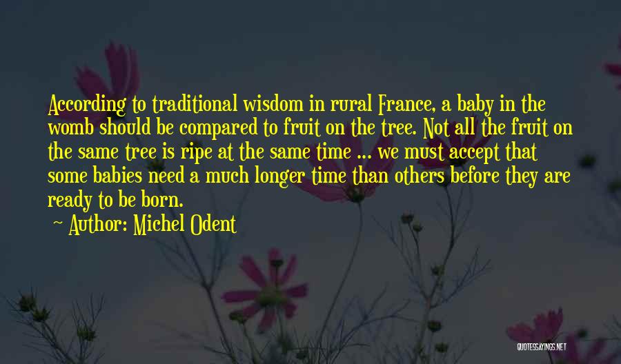 Michel Odent Quotes: According To Traditional Wisdom In Rural France, A Baby In The Womb Should Be Compared To Fruit On The Tree.