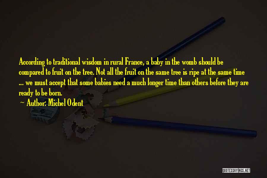 Michel Odent Quotes: According To Traditional Wisdom In Rural France, A Baby In The Womb Should Be Compared To Fruit On The Tree.