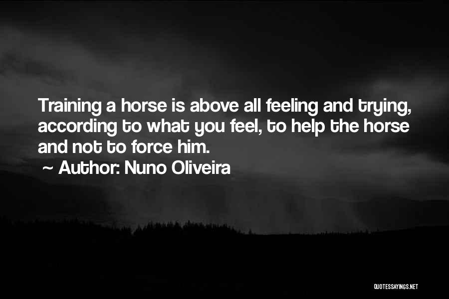 Nuno Oliveira Quotes: Training A Horse Is Above All Feeling And Trying, According To What You Feel, To Help The Horse And Not