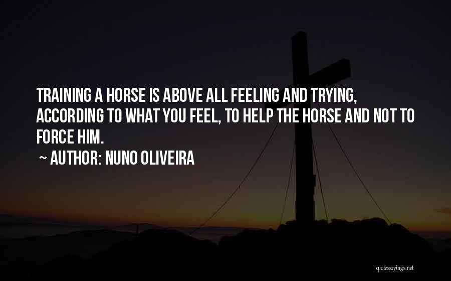 Nuno Oliveira Quotes: Training A Horse Is Above All Feeling And Trying, According To What You Feel, To Help The Horse And Not